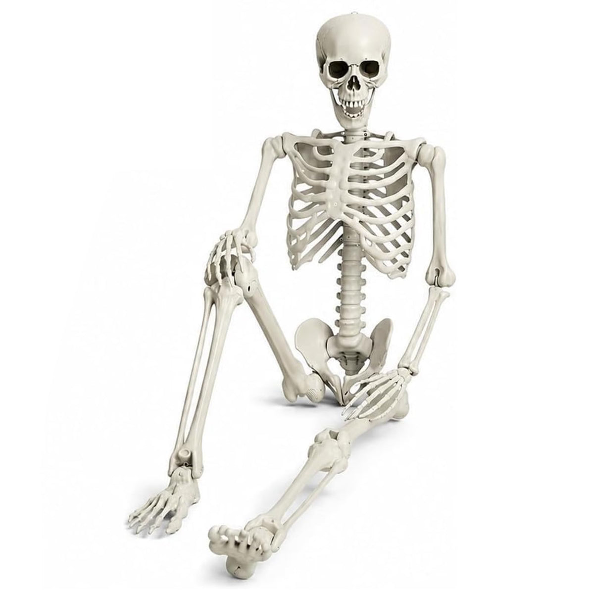 Life Size Full Body Skeleton K2035