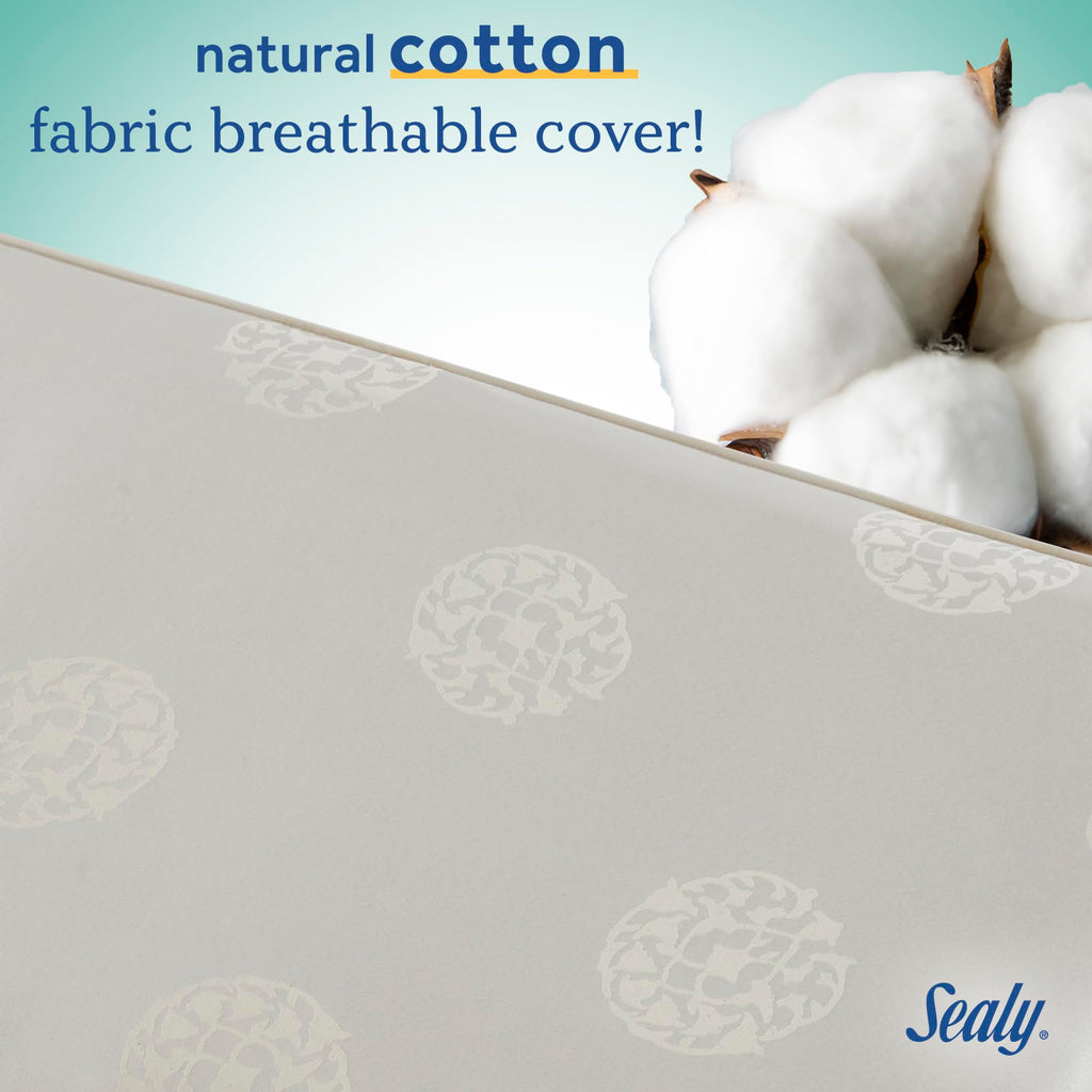 Cotton 2 Stage Waterproof Crib Mattress Y8078