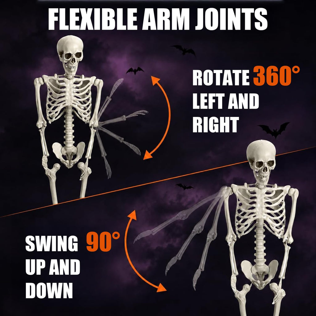 Life Size Full Body Skeleton K2035