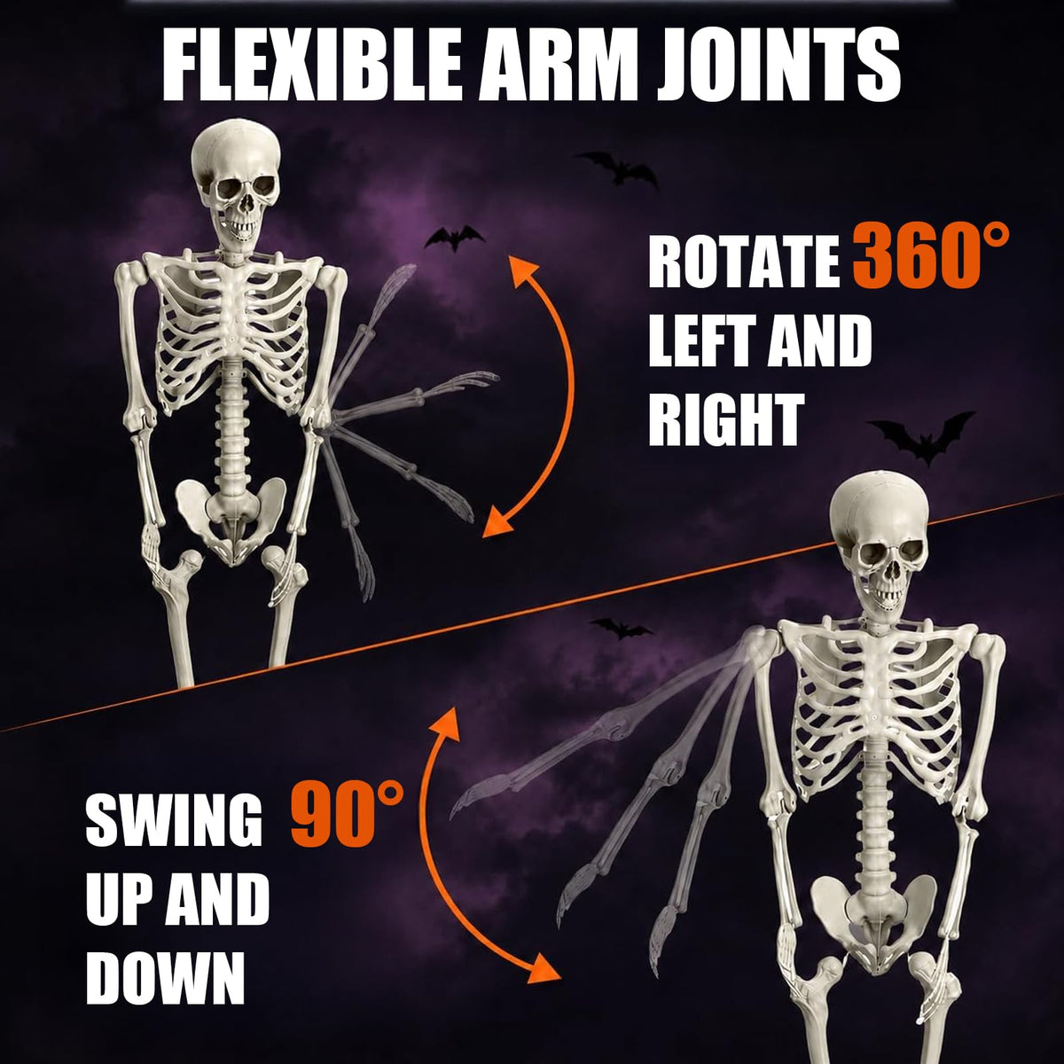 Life Size Full Body Skeleton K2035