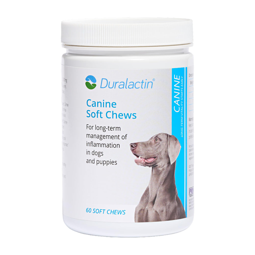 Duralactin Canine Soft Chews 60 Count C5096
