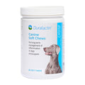 Duralactin Canine Soft Chews 60 Count C5096
