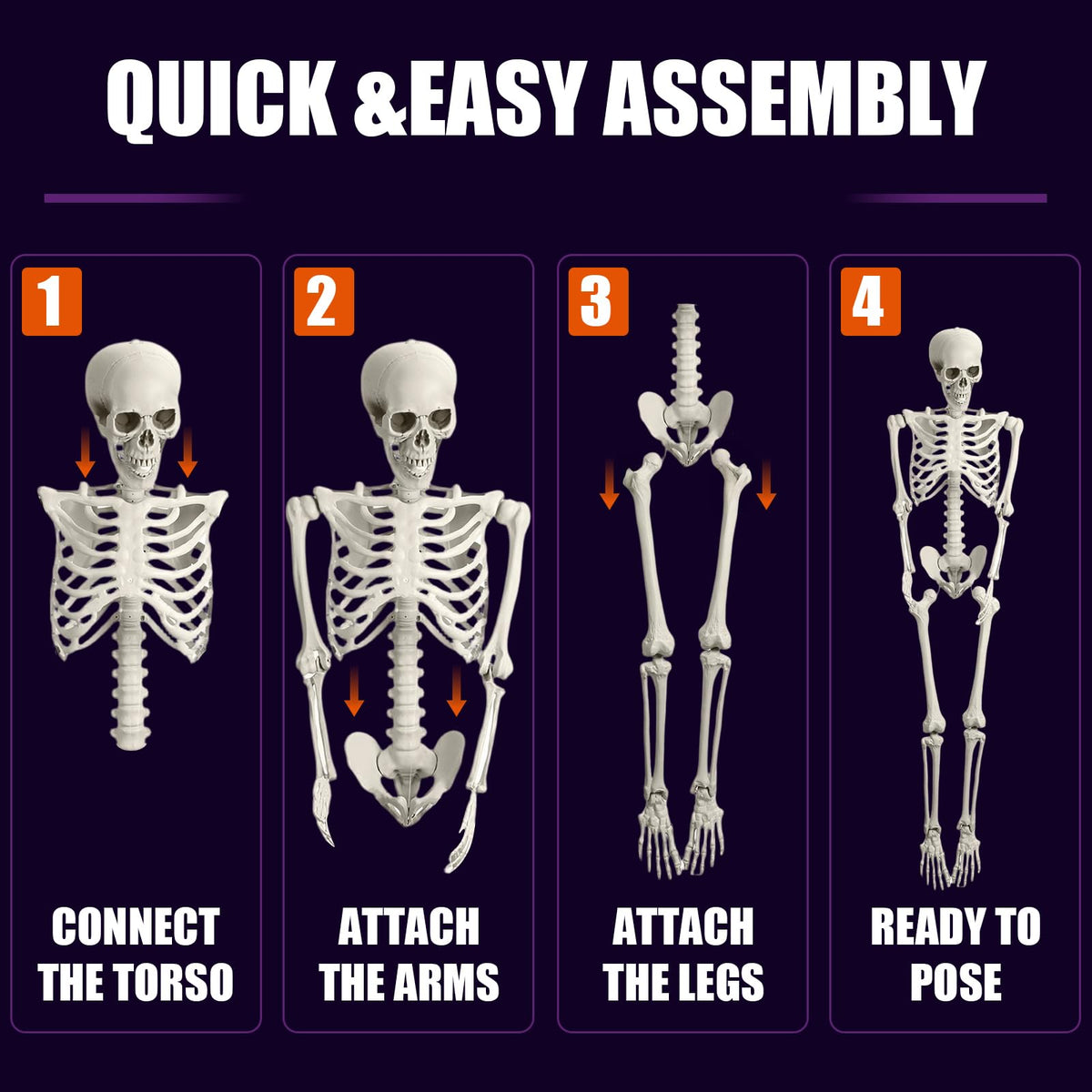Life Size Full Body Skeleton K2035