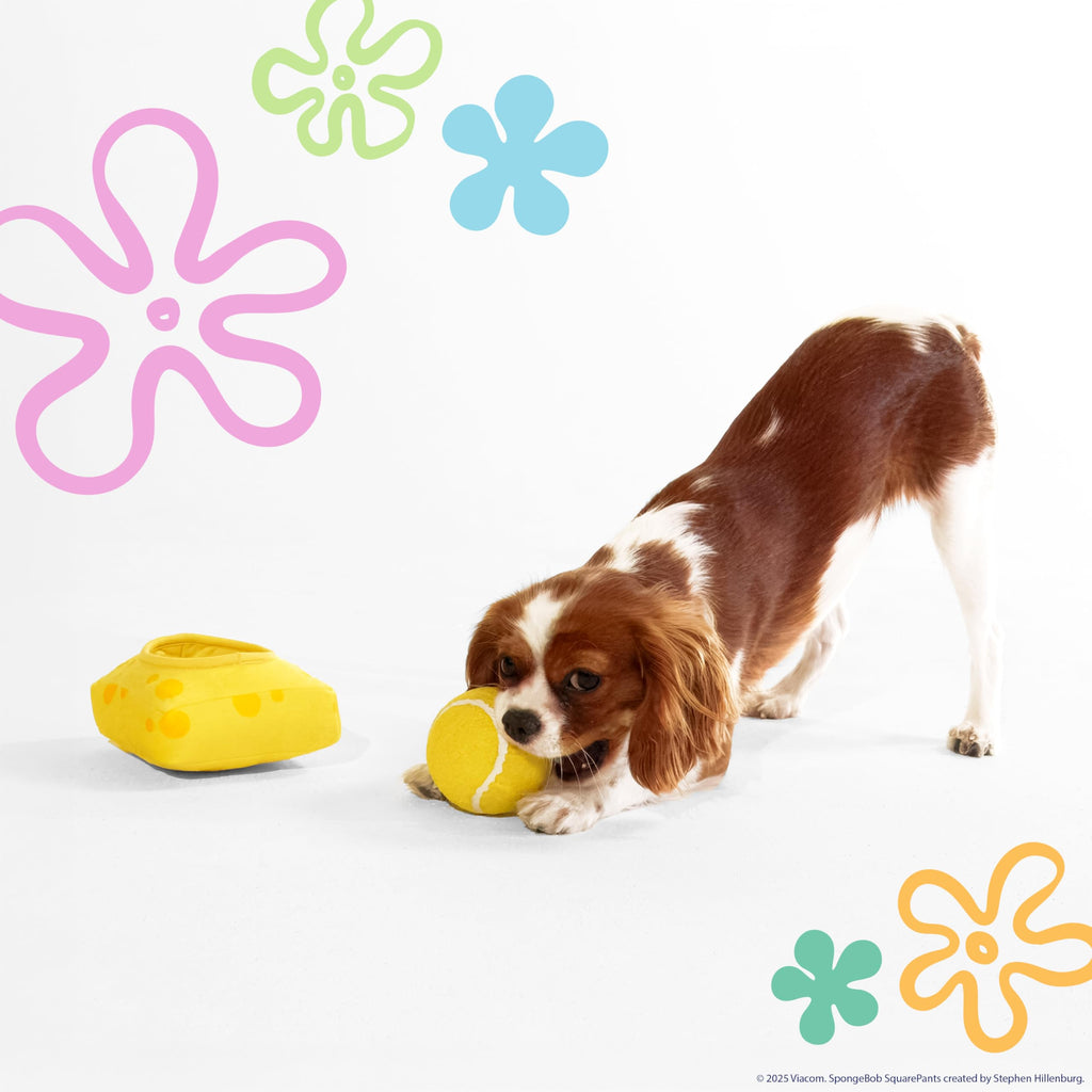 Squeaky Plush Dog Toys 2-Pack B8151