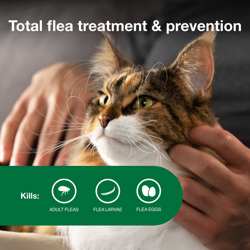 Large Cat Topical Flea Treatment & Prevention 2ct G13443