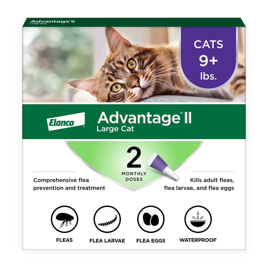 Large Cat Topical Flea Treatment & Prevention 2ct G13443
