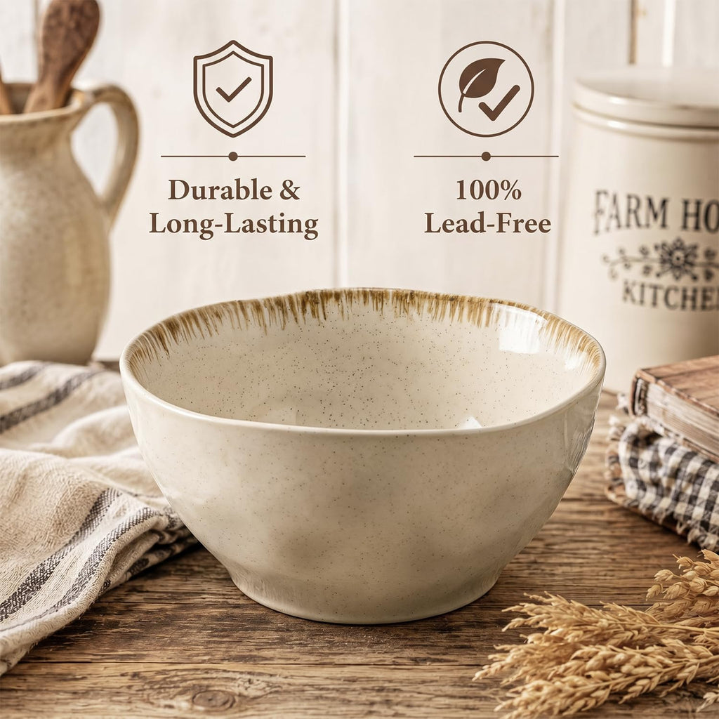 30 OZ Ceramic Soup Bowls Set of 4 Beige D363577