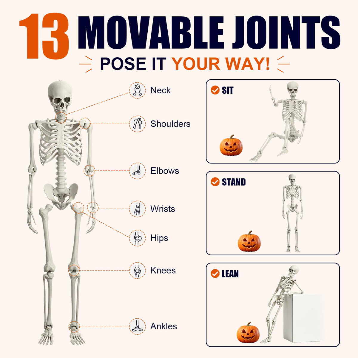 Life Size Full Body Skeleton K2035
