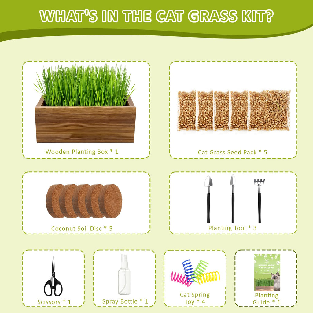 Cat Grass Kit with Wooden Planter 5 Pack Z111065