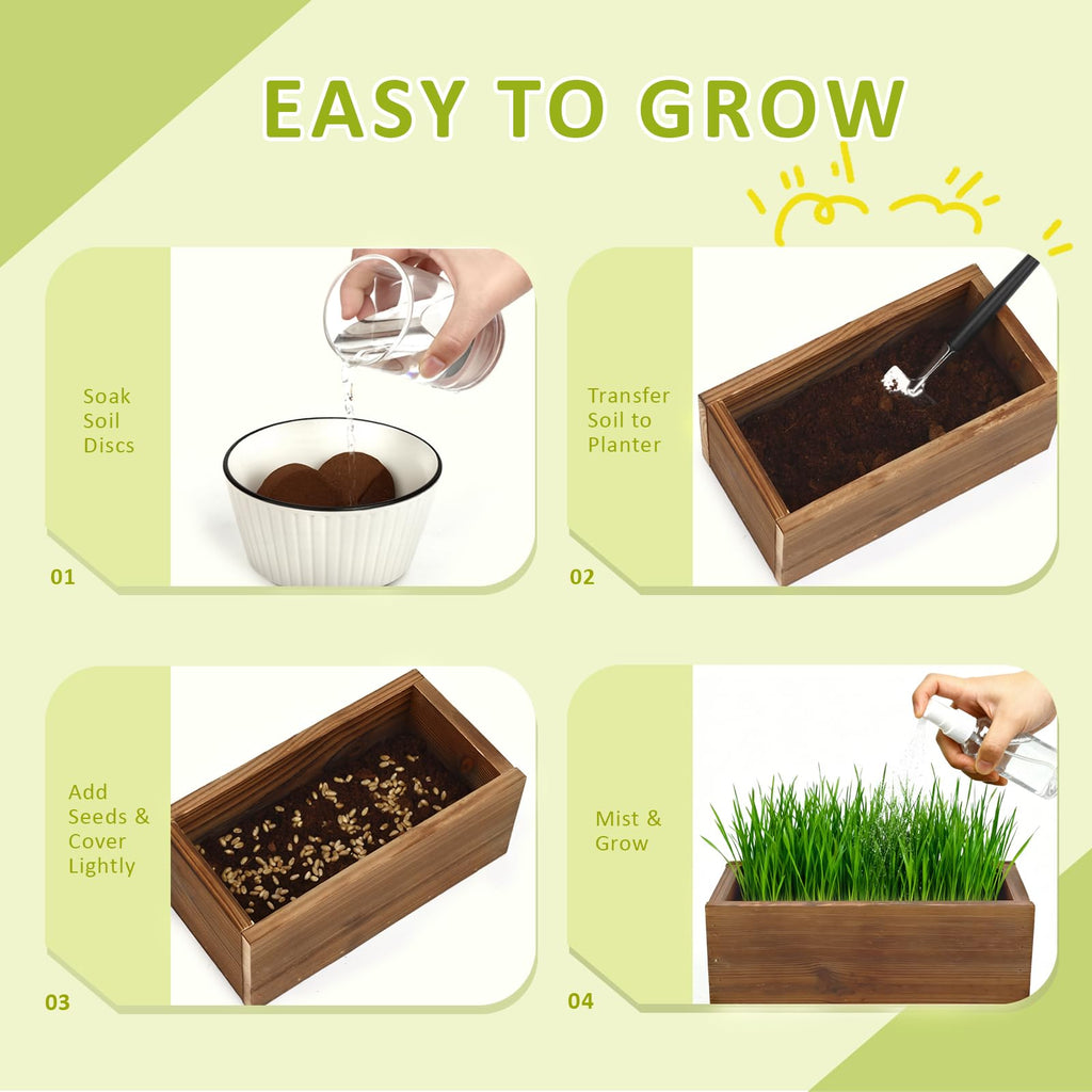Cat Grass Kit with Wooden Planter 5 Pack Z111065