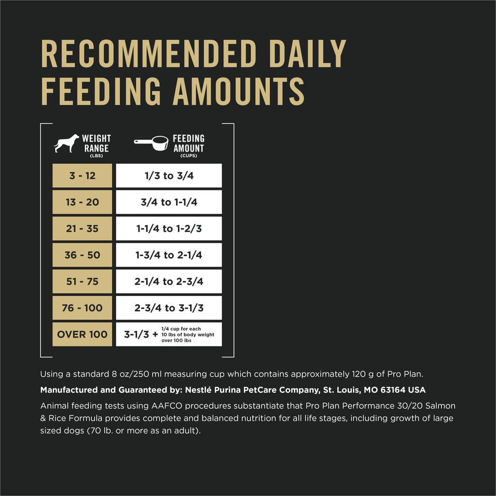 Salmon High Protein Dry Dog Food B6301
