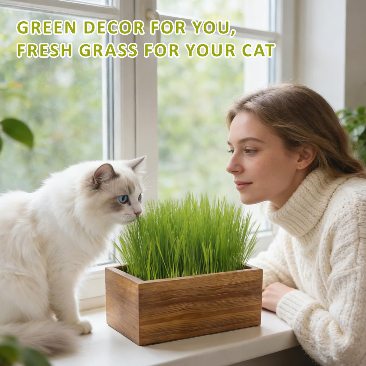 Cat Grass Kit with Wooden Planter 5 Pack Z111065