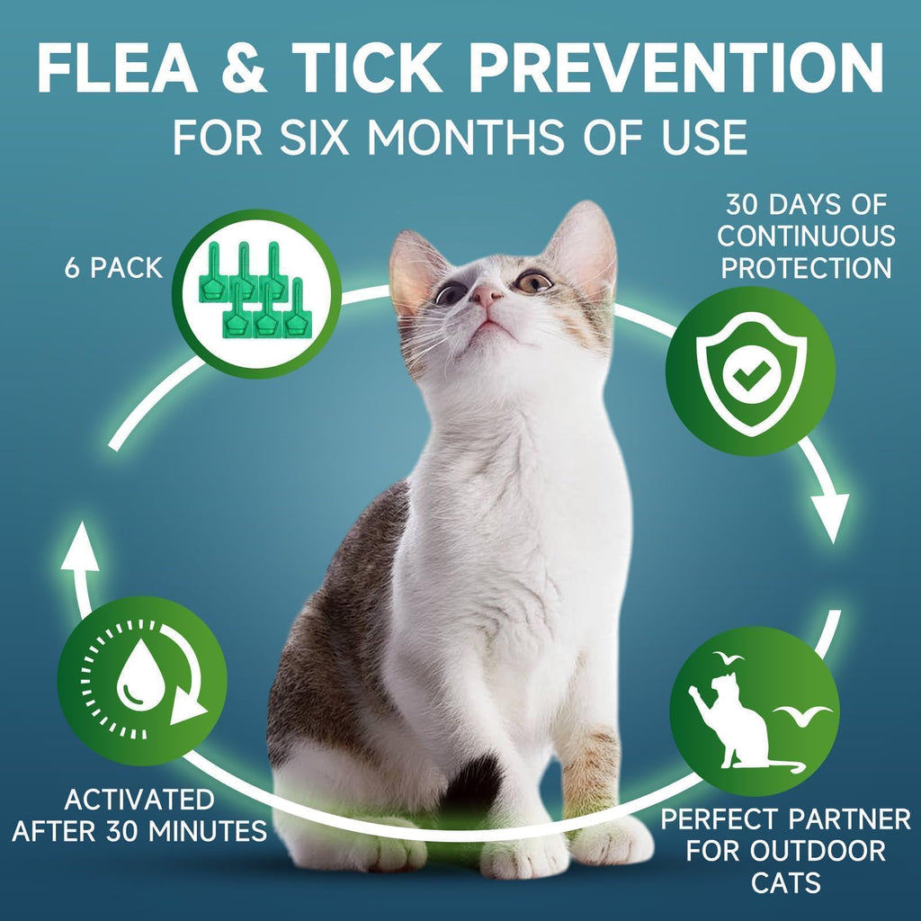 Cat Flea and Tick Treatment, 6 Doses U3557