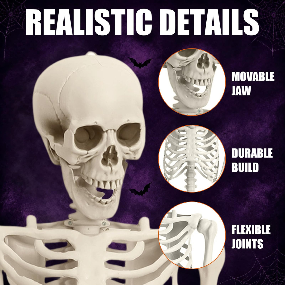 Life Size Full Body Skeleton K2035