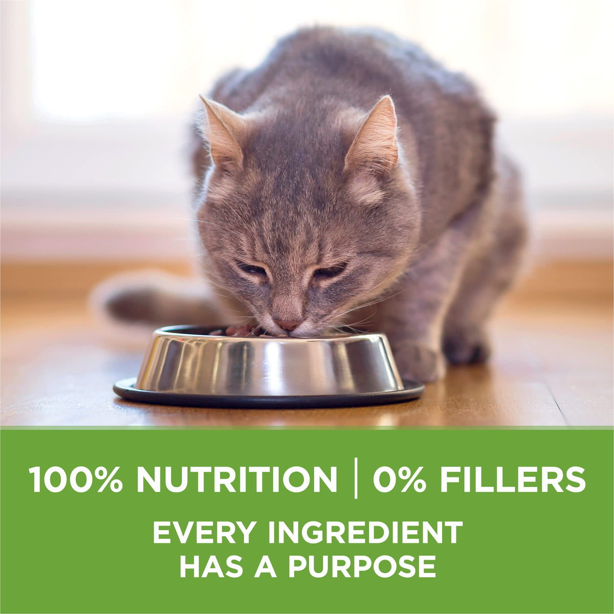 Indoor Weight Control Dry Cat Food 16 lb Bag C5696