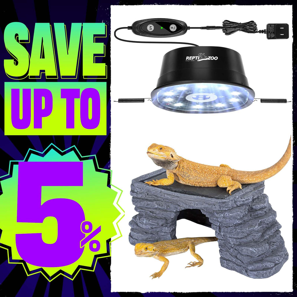UVB Reptile Light with Basking Platform Combo Kit V897134