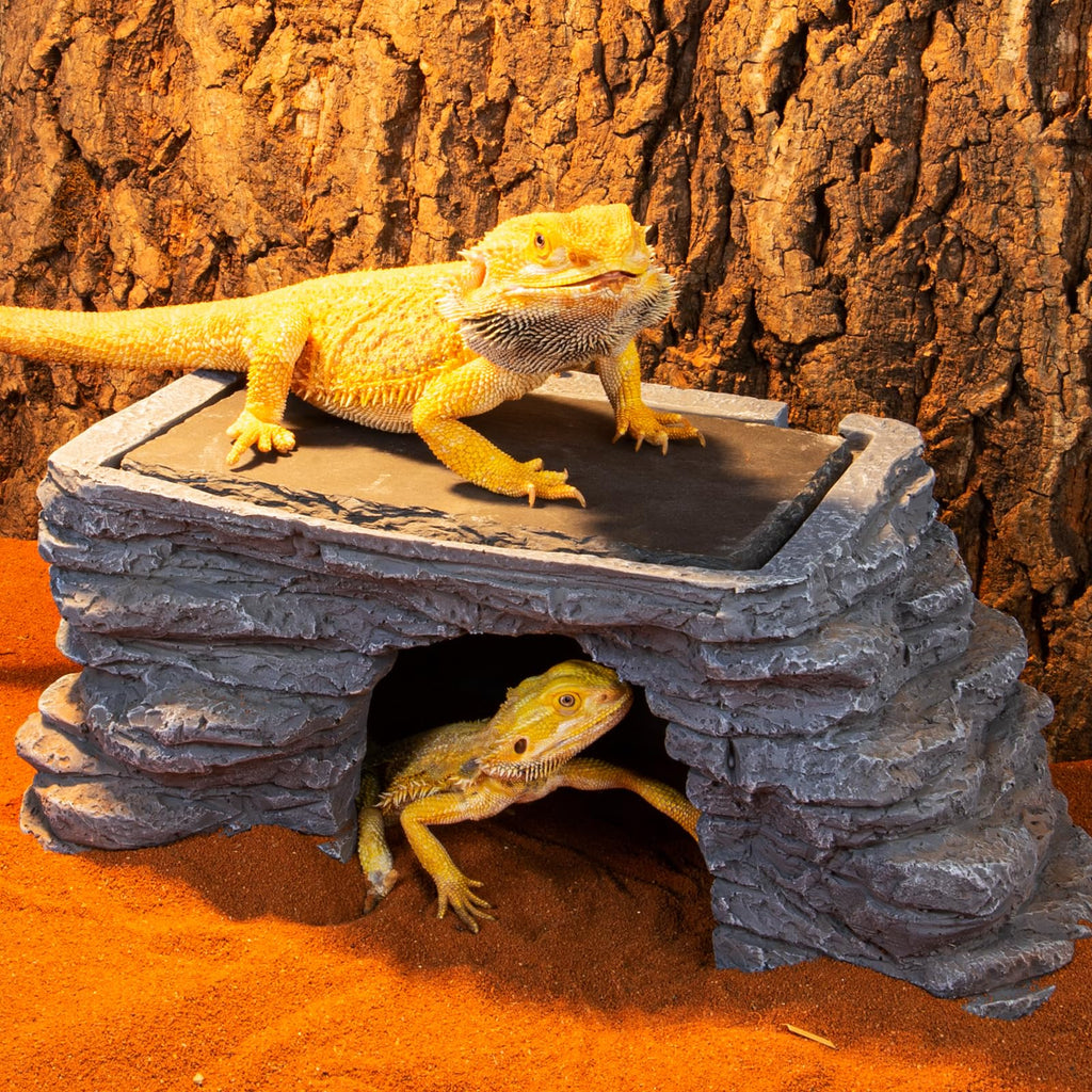UVB Reptile Light with Basking Platform Combo Kit V897134
