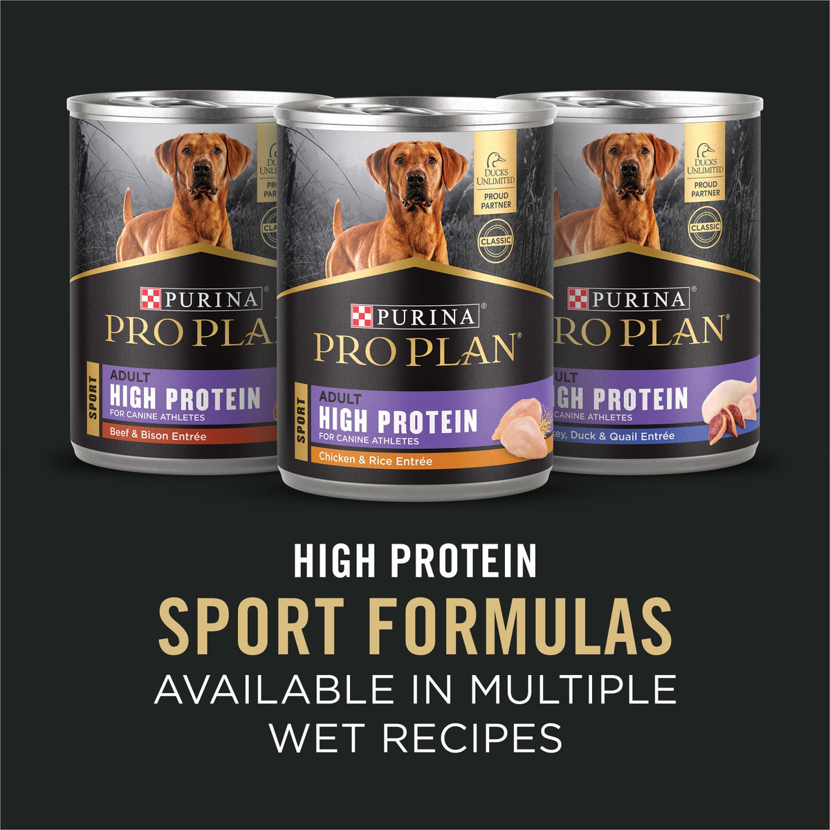 Salmon High Protein Dry Dog Food B6301