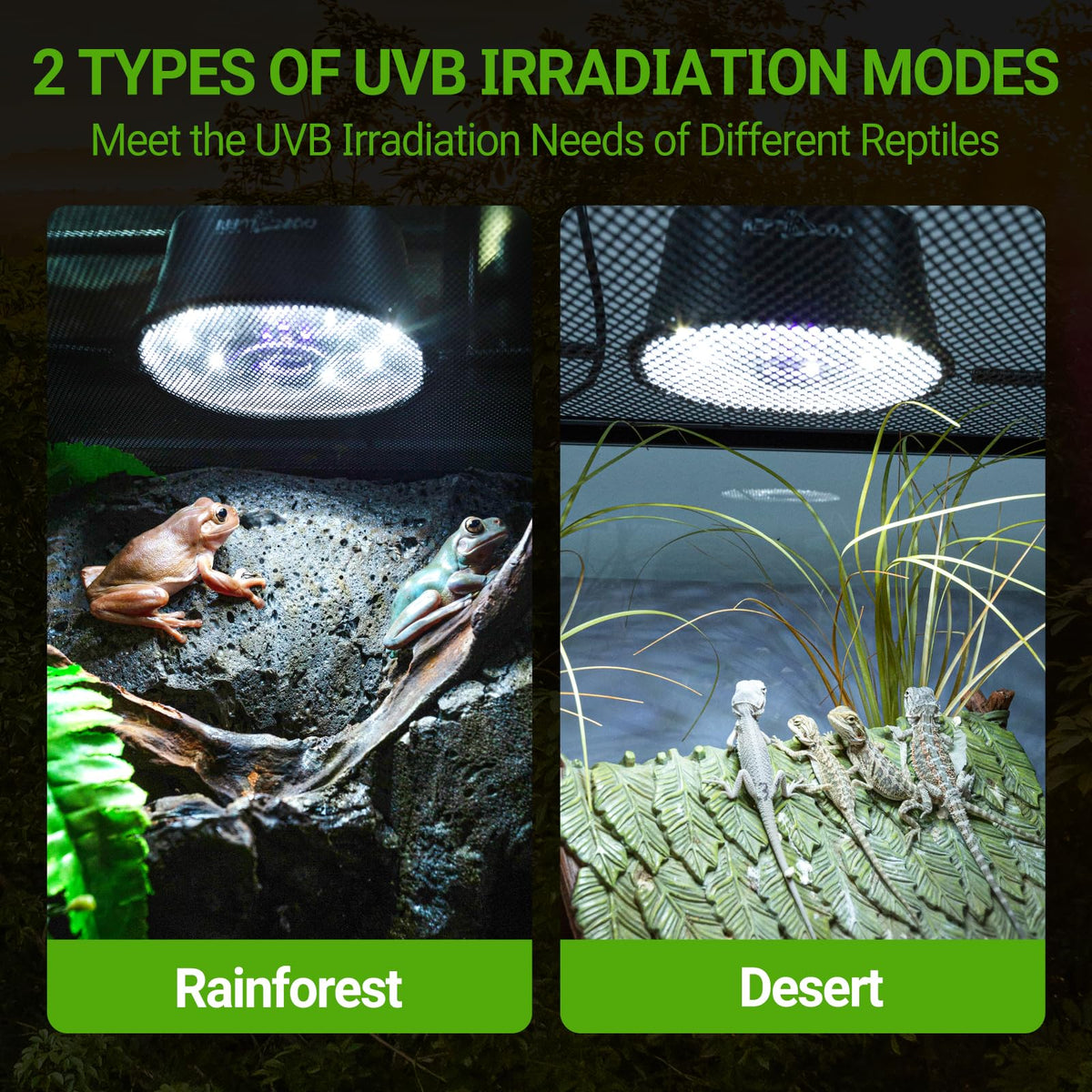 UVB Reptile Light with Basking Platform Combo Kit V897134