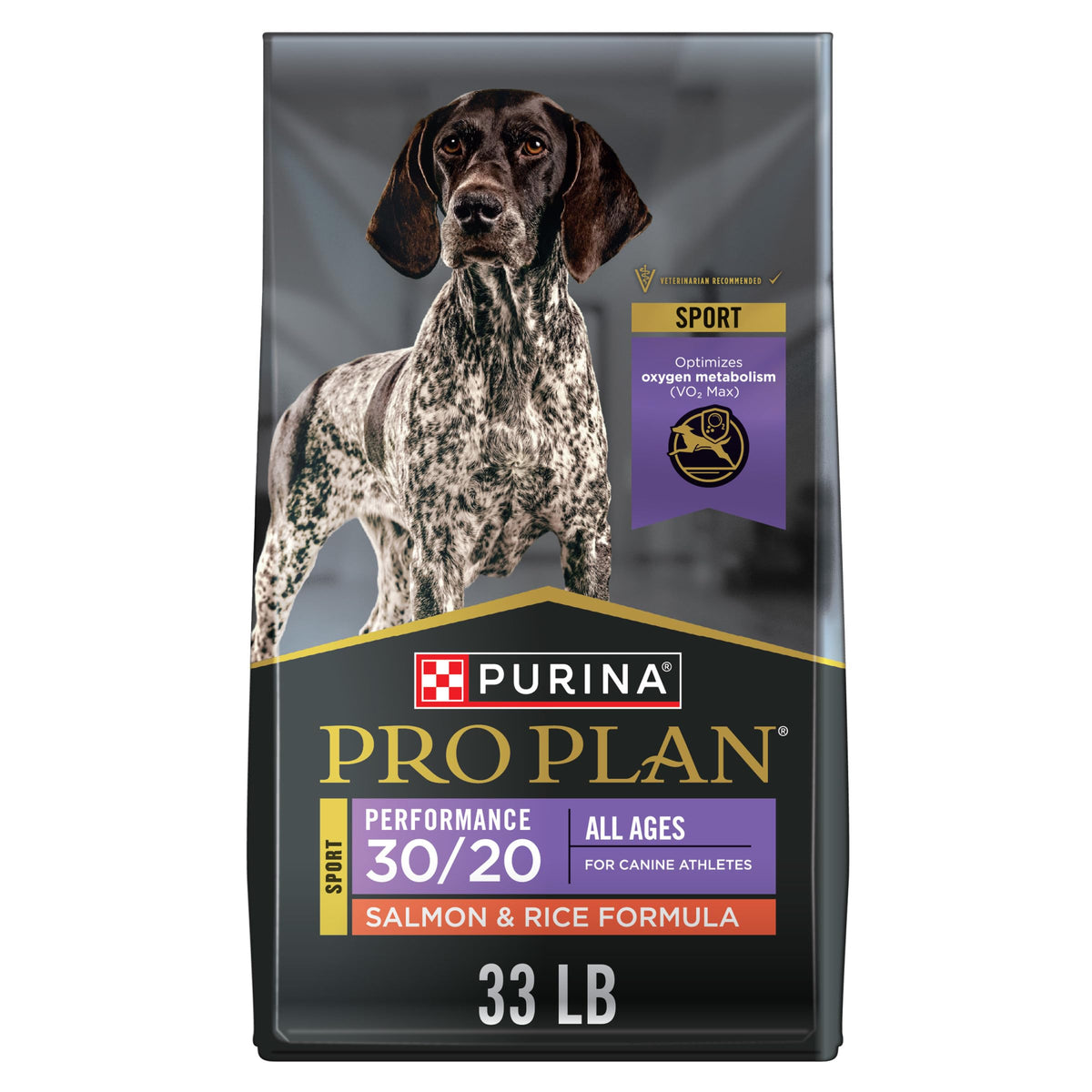 Salmon High Protein Dry Dog Food B6301
