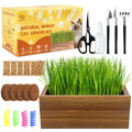 Cat Grass Kit with Wooden Planter 5 Pack Z111065