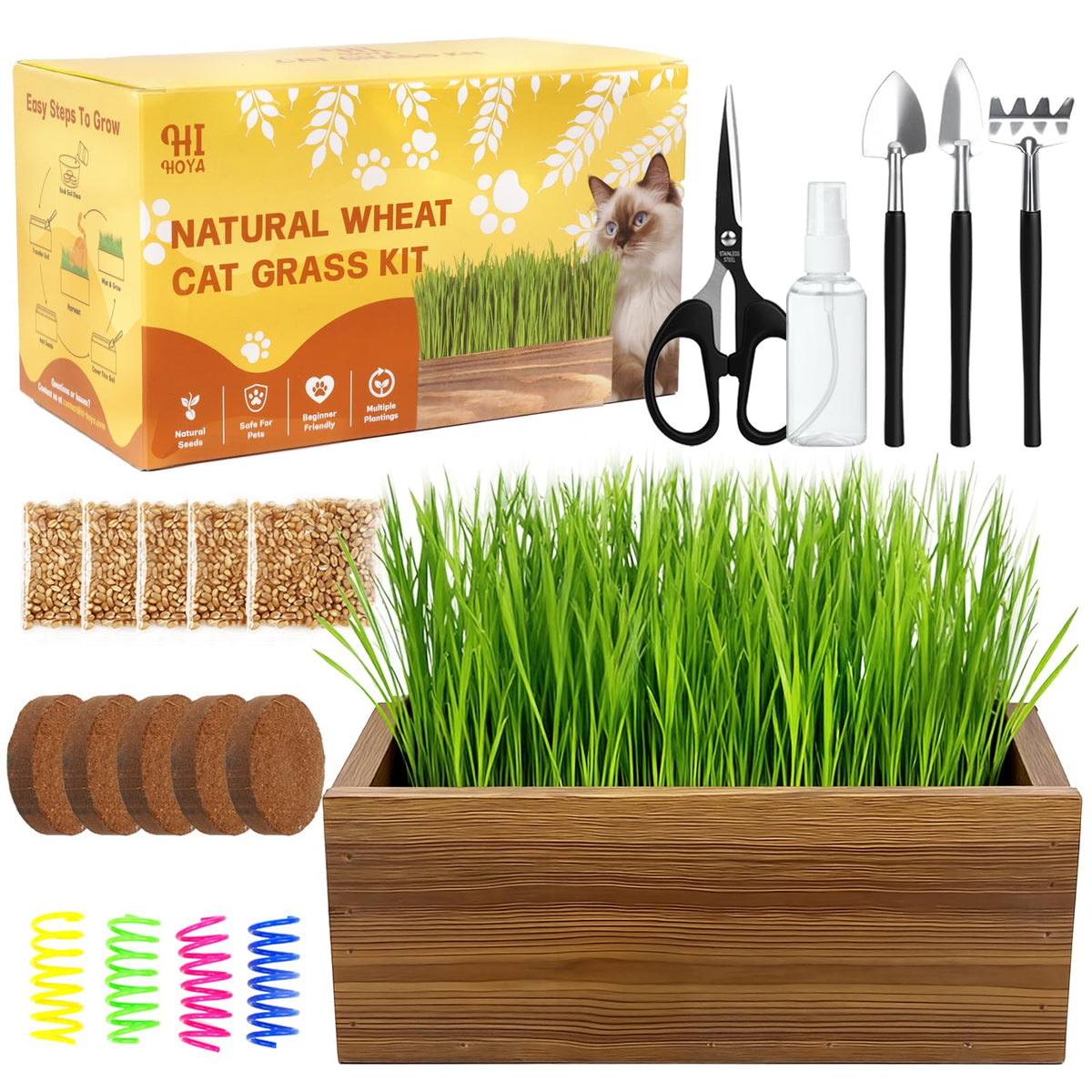 Cat Grass Kit with Wooden Planter 5 Pack Z111065
