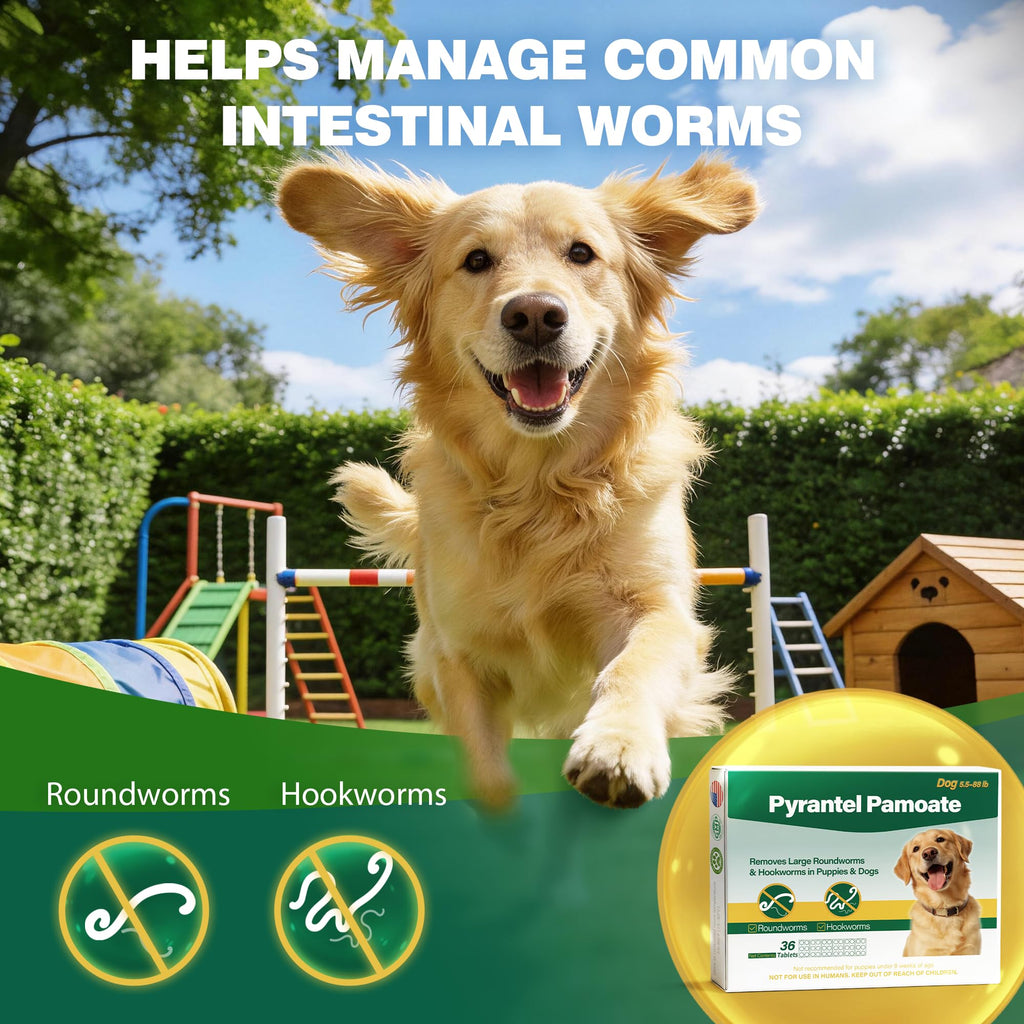 Chewable Pyrantel Pamoate Dog Dewormer 36 Tablets S309