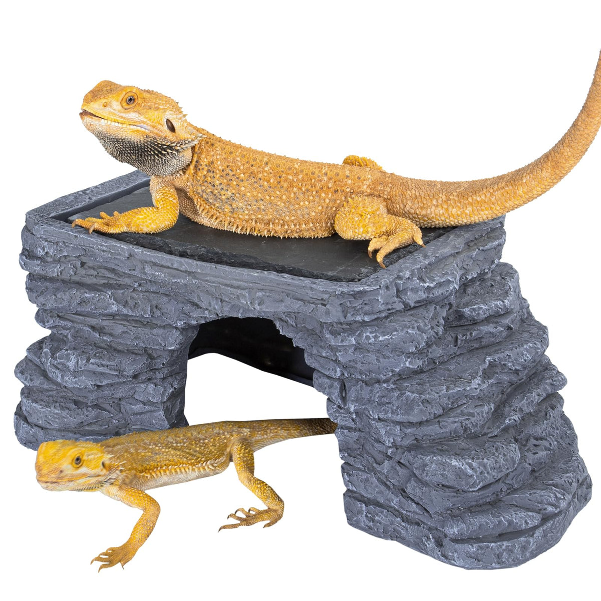 UVB Reptile Light with Basking Platform Combo Kit V897134