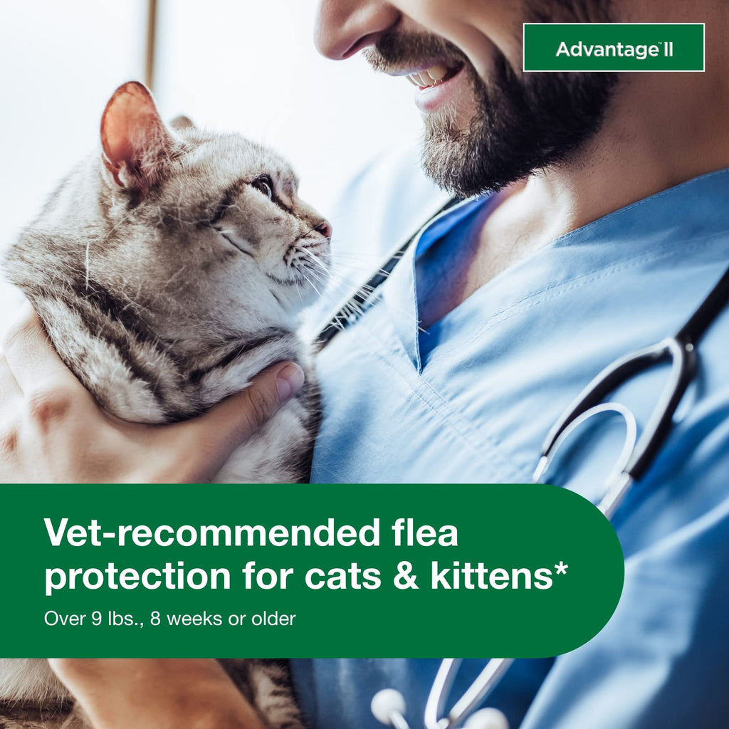 Large Cat Topical Flea Treatment & Prevention 2ct G13443
