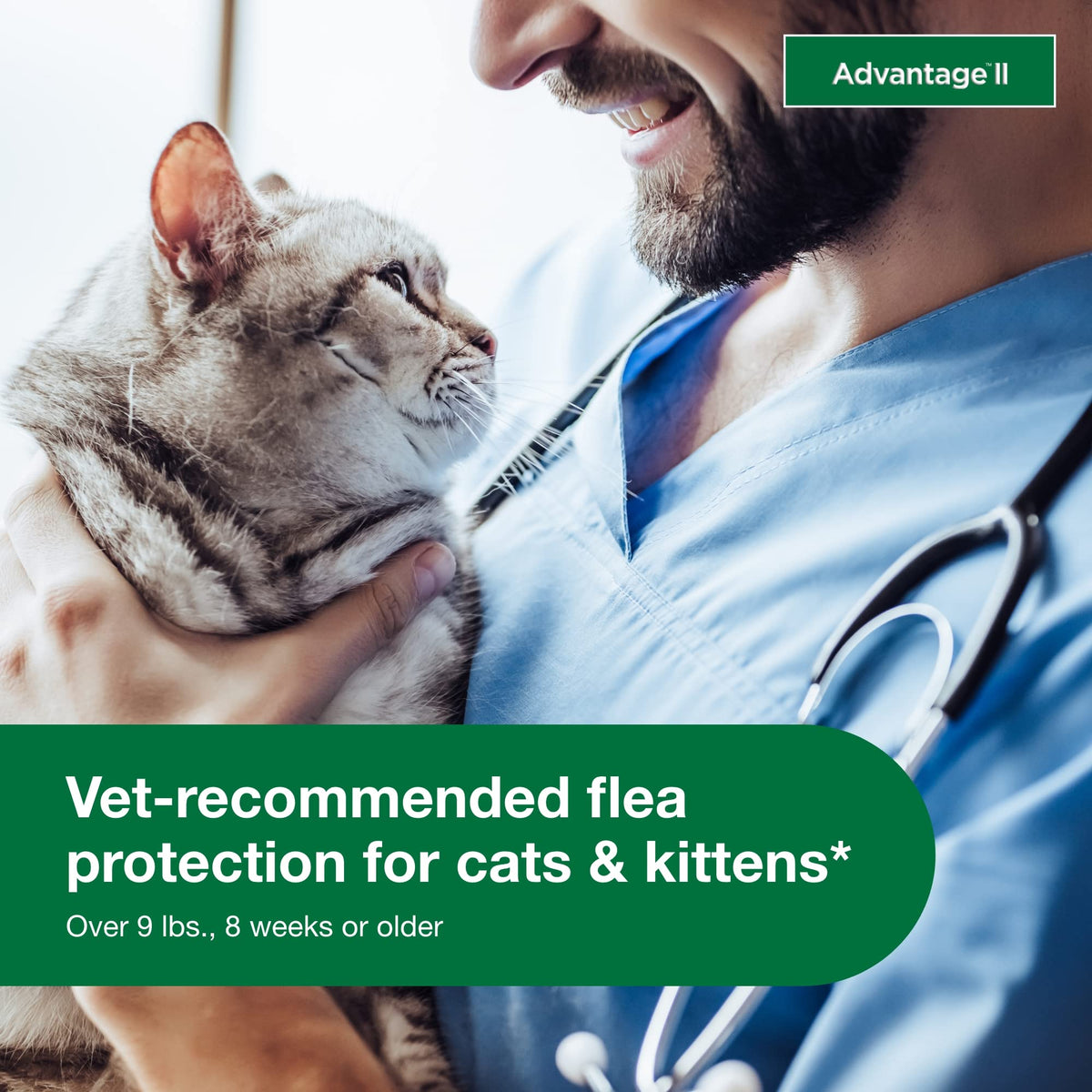 Large Cat Topical Flea Treatment & Prevention 2ct G13443
