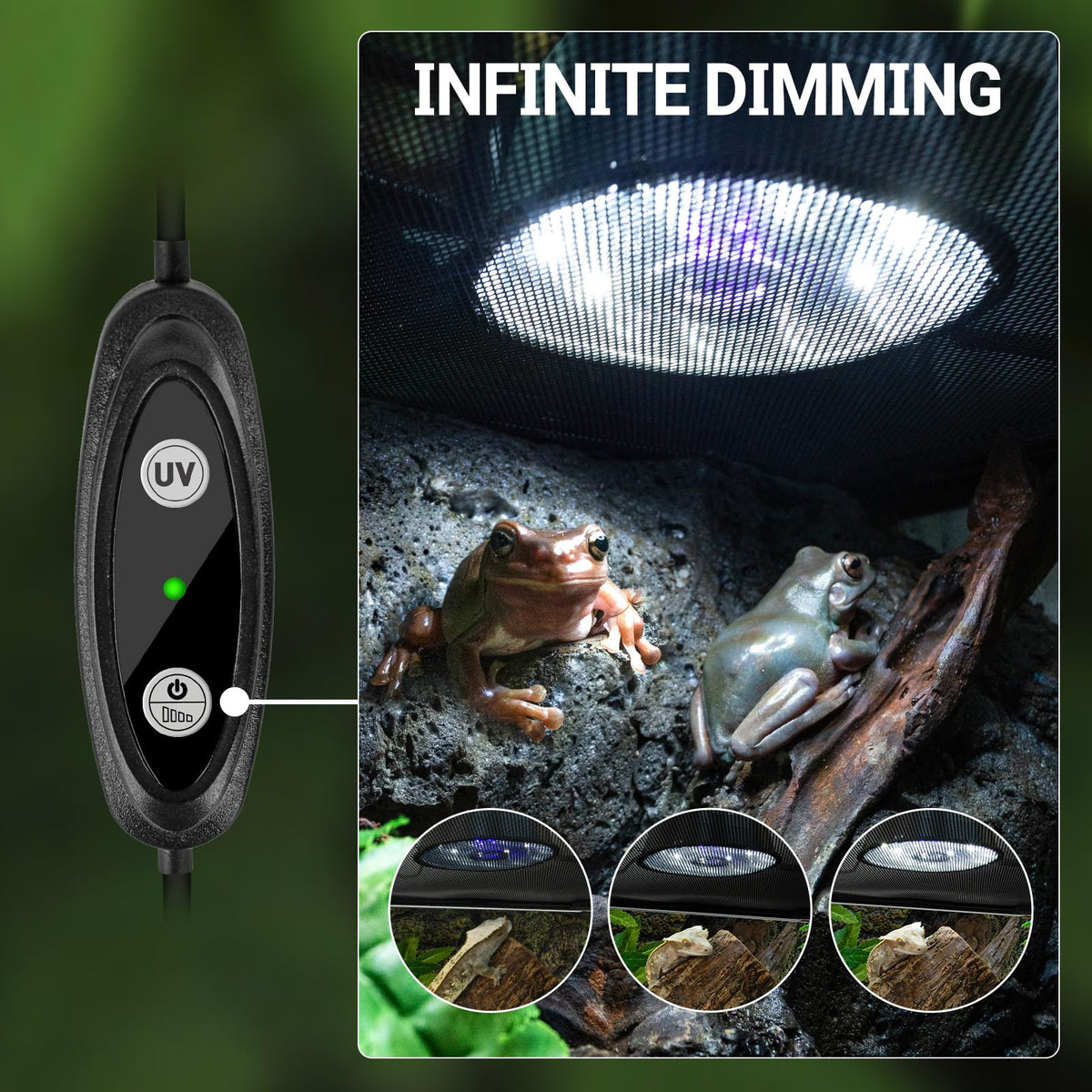 UVB Reptile Light with Basking Platform Combo Kit V897134