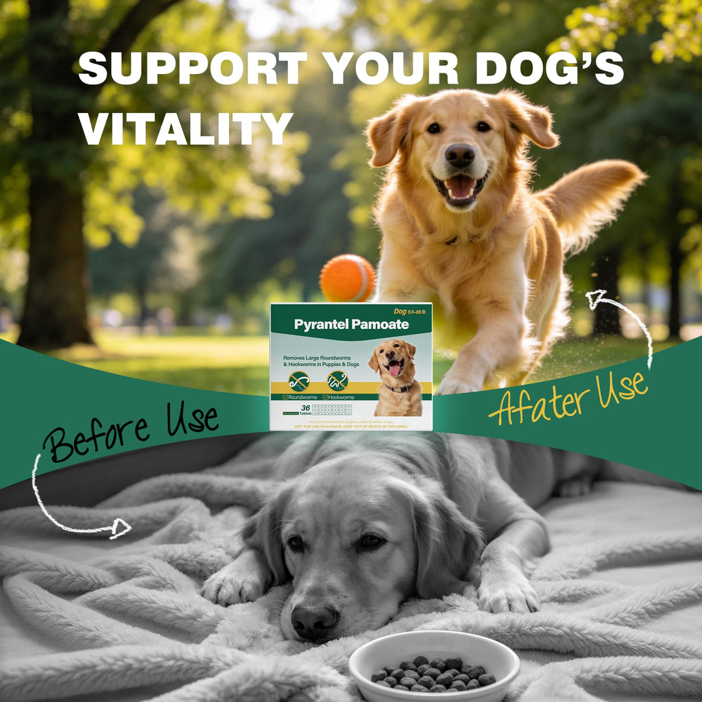 Chewable Pyrantel Pamoate Dog Dewormer 36 Tablets S309