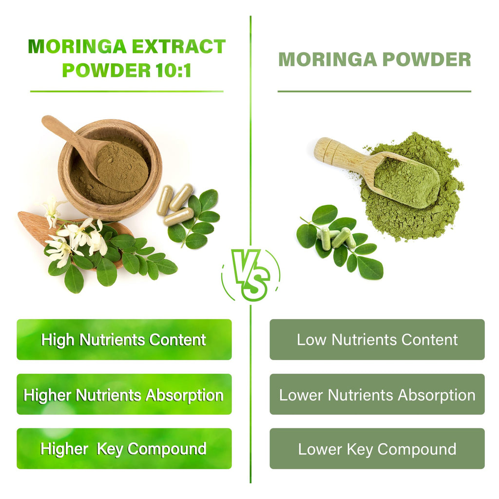 Moringa Capsules 300 Count Z35110