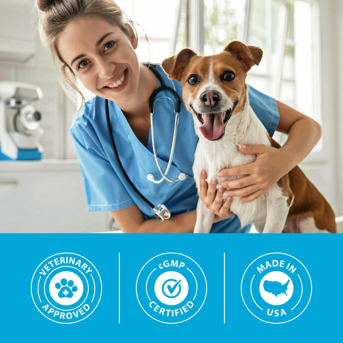 Duralactin Canine Soft Chews 60 Count C5096