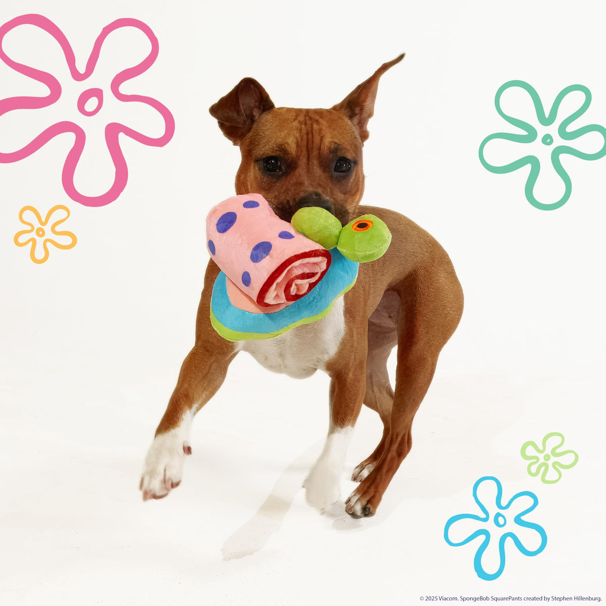 Squeaky Plush Dog Toys 2-Pack B8151
