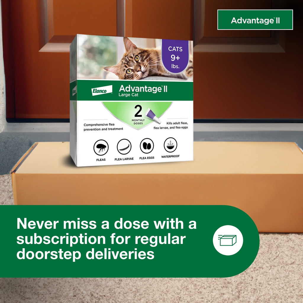 Large Cat Topical Flea Treatment & Prevention 2ct G13443