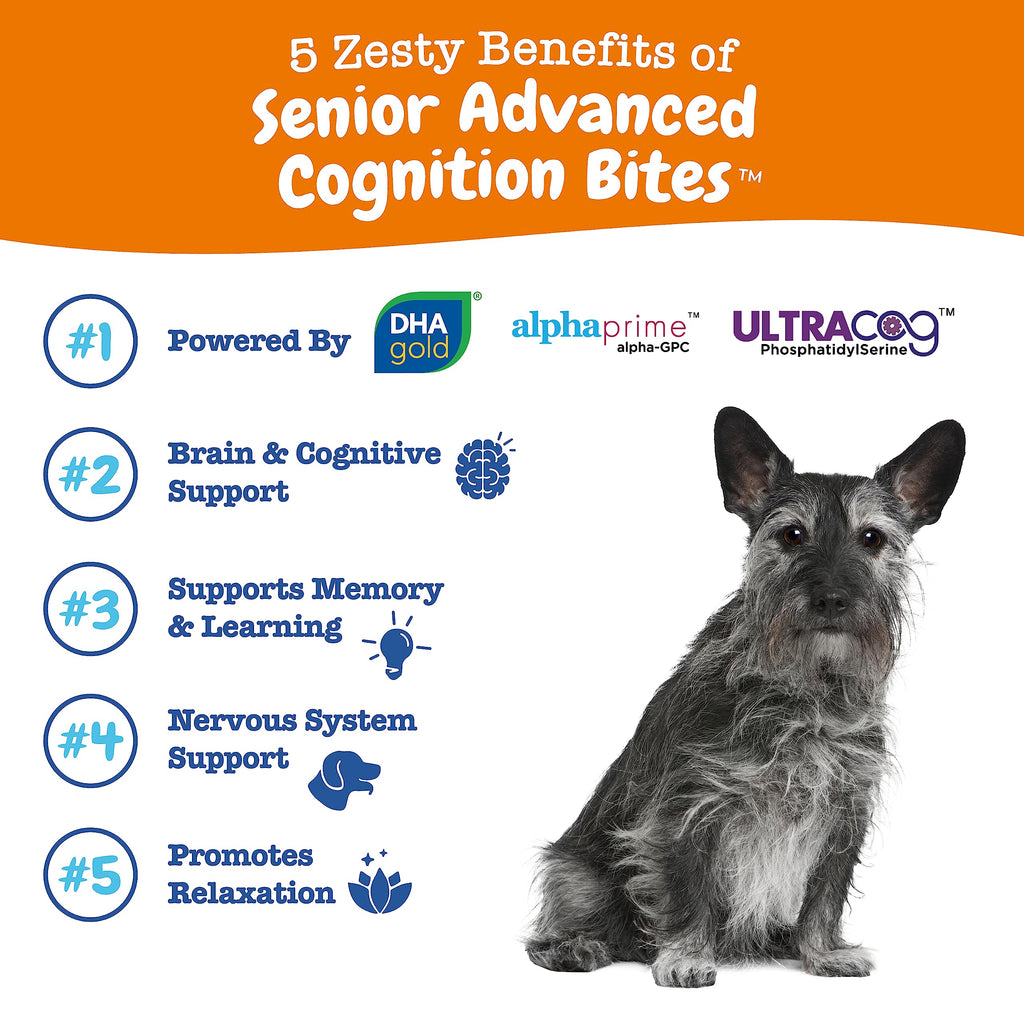 Senior Dog Supplement Cognition Chews Chicken 90 Ct N903519