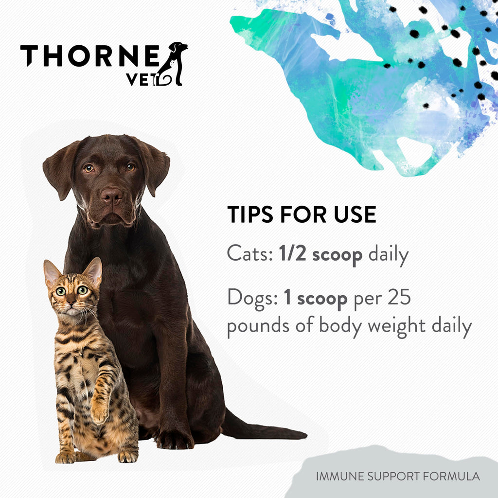 Immune Support Powder for Dogs & Cats, 90 Scoops W78357