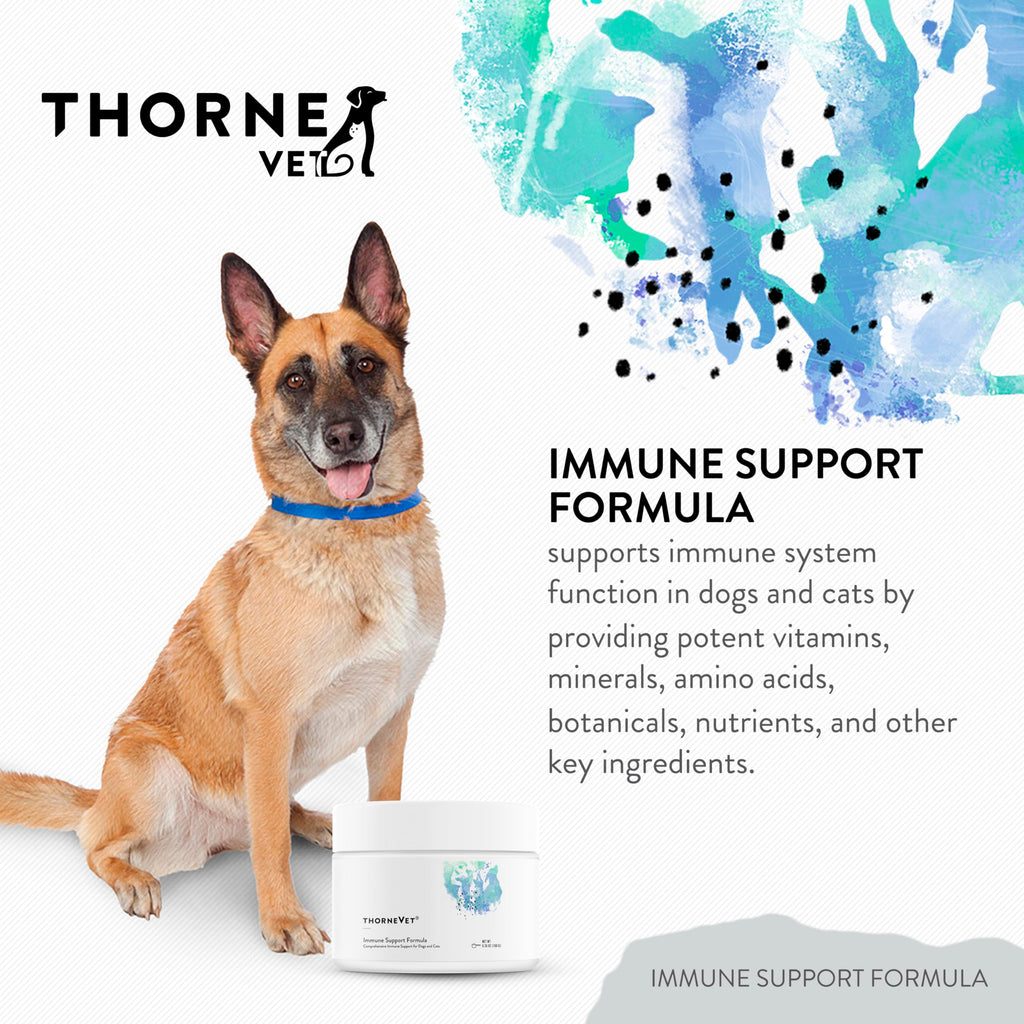 Immune Support Powder for Dogs & Cats, 90 Scoops W78357